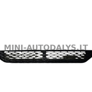 Aixam Gamme Vision City / Coupe esiosa põrkeraua iluvõre