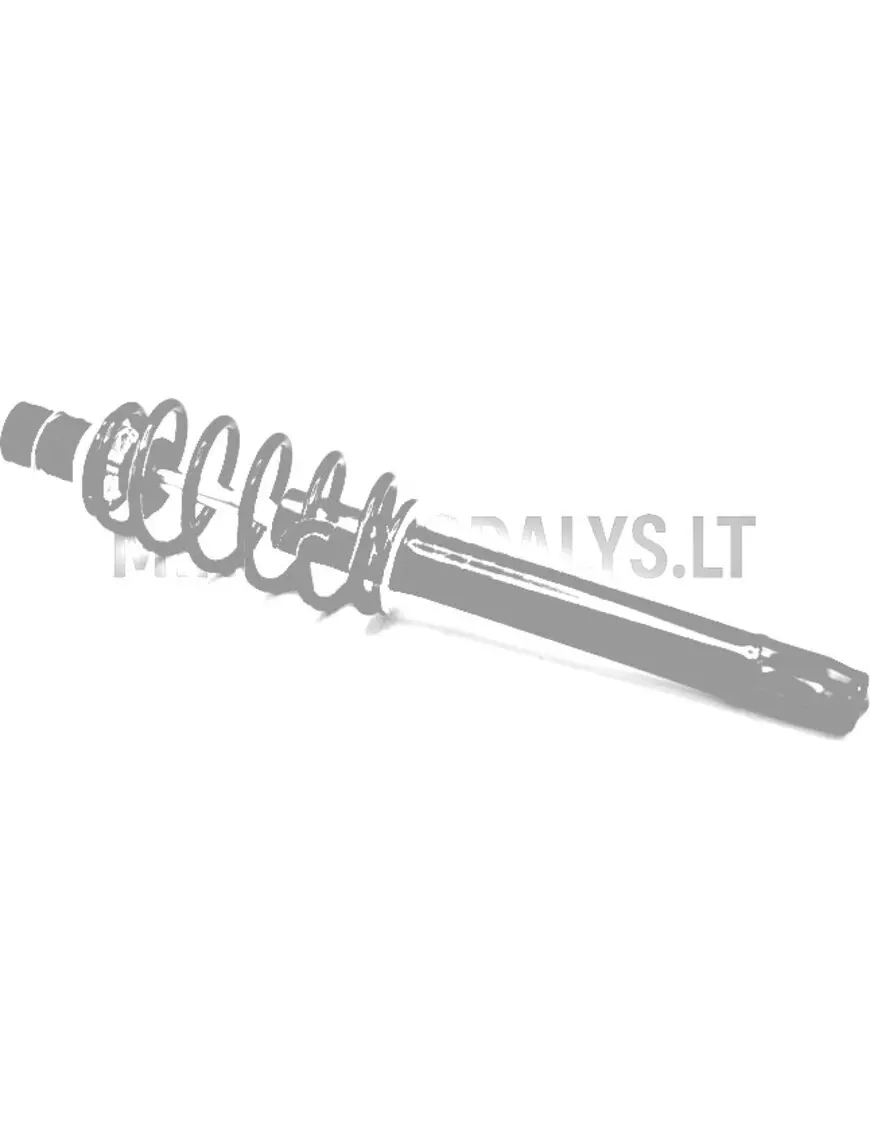 Esiamortisaator, ees, Ligier IXO