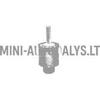 Kummist radiaator Ligier / Microcar