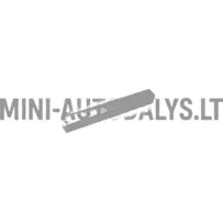 Peamine käigukasti variaator