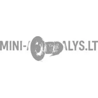 Ratta rummu kinnituskruvi - piduriketas Aixam / Grecav