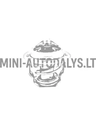 Termostaat Aixam Kubota