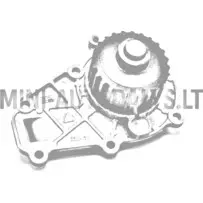 Veepump Lombardini DCI