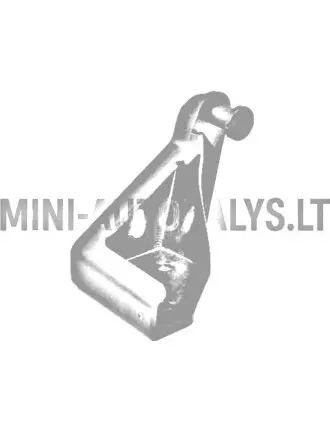 Eesmine parempoolne kapoti hing Aixam Emotion / Ambition