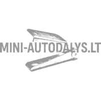 Eesmine parempoolne mootorikatte hing Ligier JS50 / JS50L Ph2 / Ph3