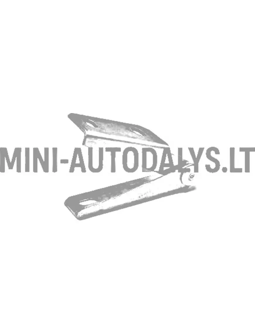 Eesmine parempoolne mootorikatte hing Ligier JS50 / JS50L Ph2 / Ph3