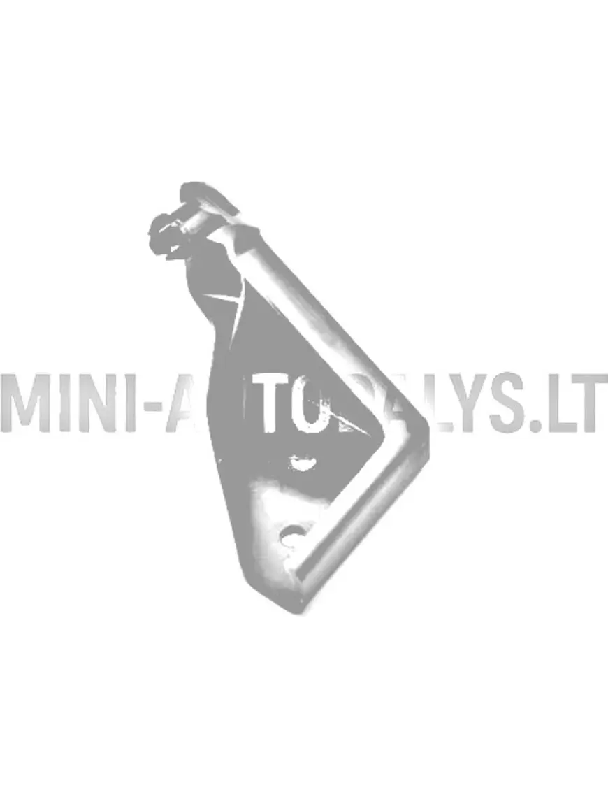 Eesmine vasakpoolne kapoti hing Aixam Vision / Sensation / D-Truck