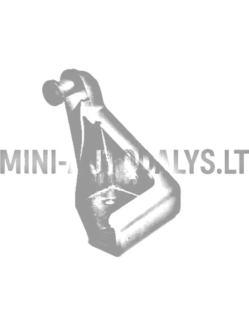 Vasakpoolne esikapoti hing Aixam Emotion / Ambition