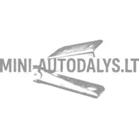 Vasakpoolne esikapoti hing Ligier JS50 / JS50L Ph2 / Ph3