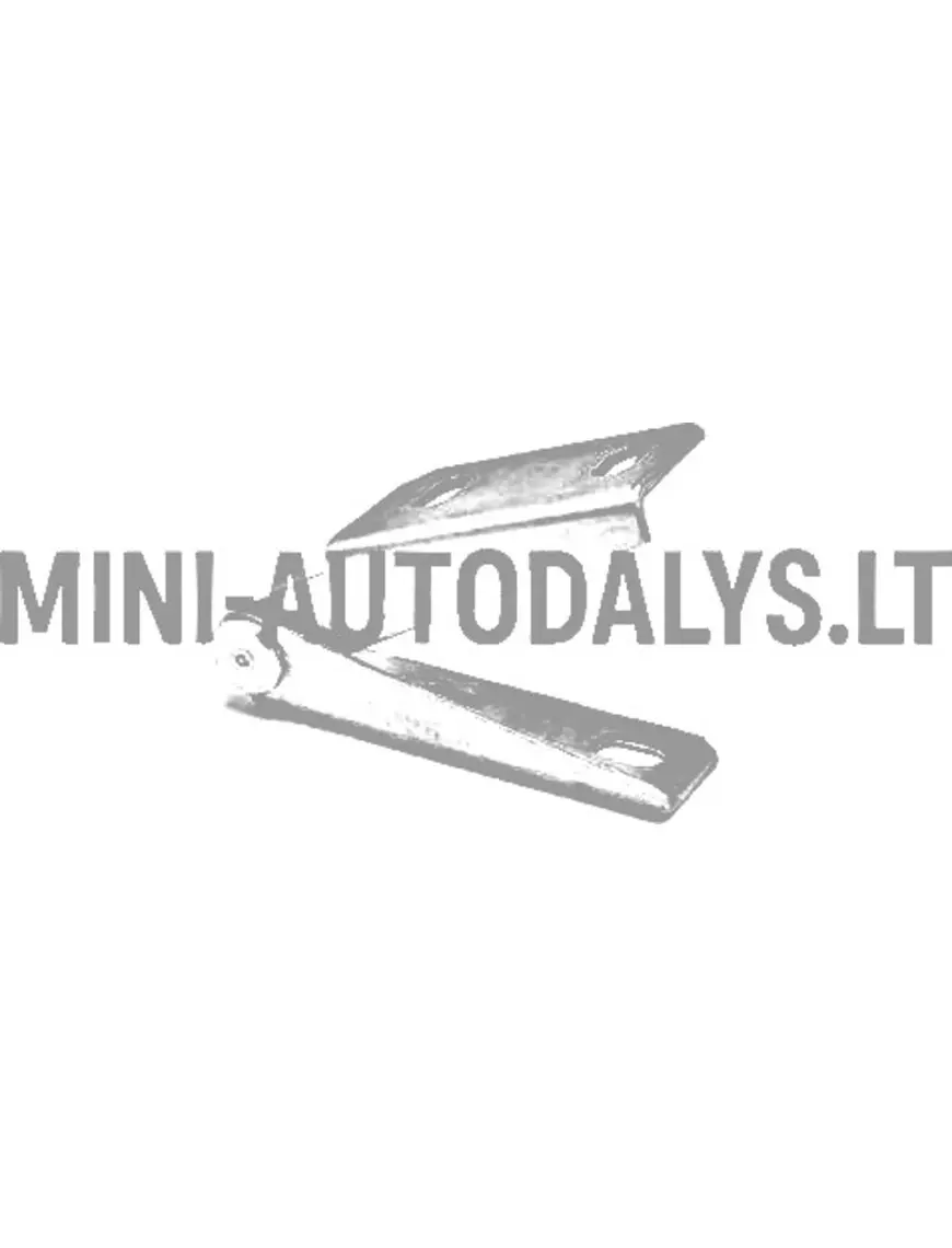 Vasakpoolne esikapoti hing Ligier JS50 / JS50L Ph2 / Ph3