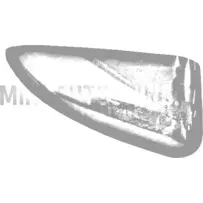 Peeglikate parempoolsele välispeeglile Aixam Impulsion / Vision