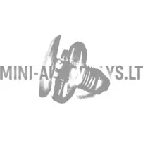 Plastikust kinnitusneedid Ligier / Microcar / Aixam