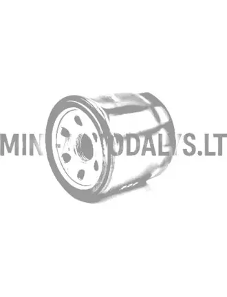 Õlifilter Lombardini 442 / 492 / 480 DCI