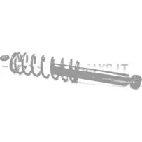Microcar / Ligier tagumine amortisaator | Mini Auto Parts