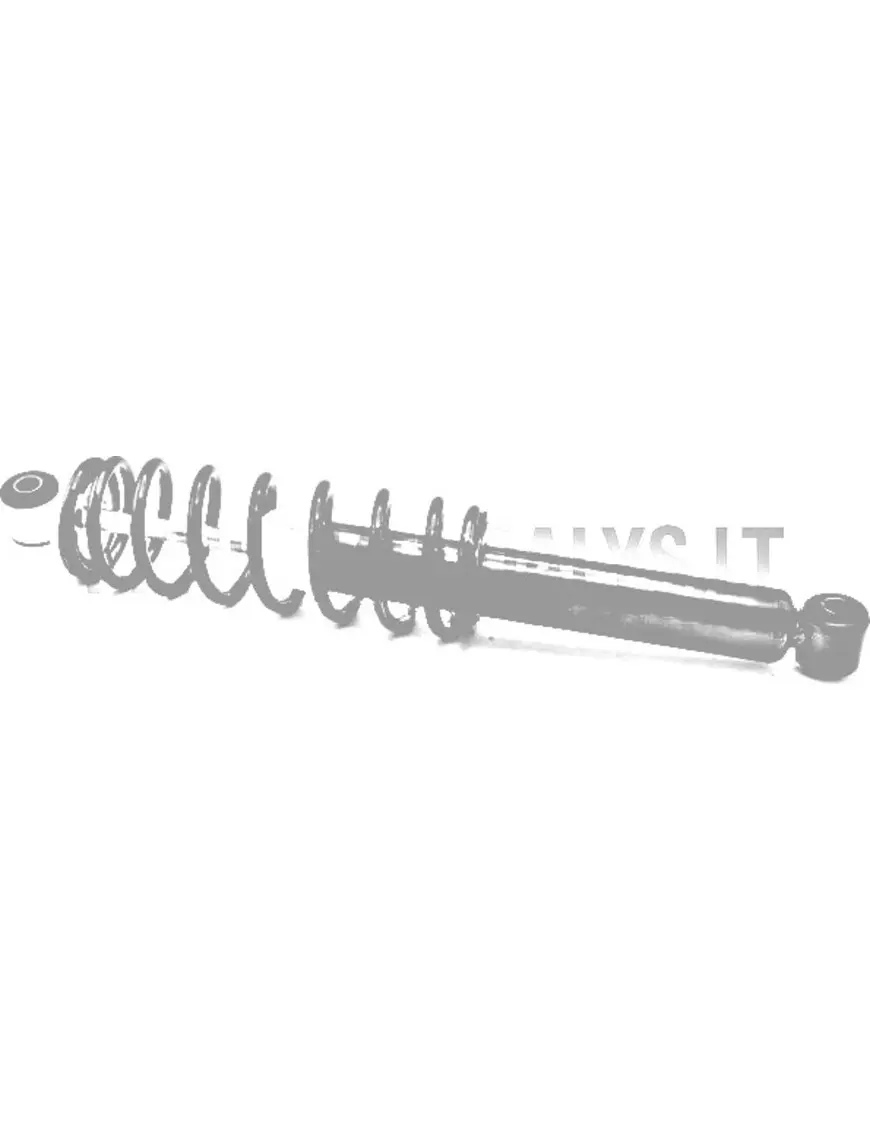 Microcar / Ligier tagumine amortisaator | Mini Auto Parts