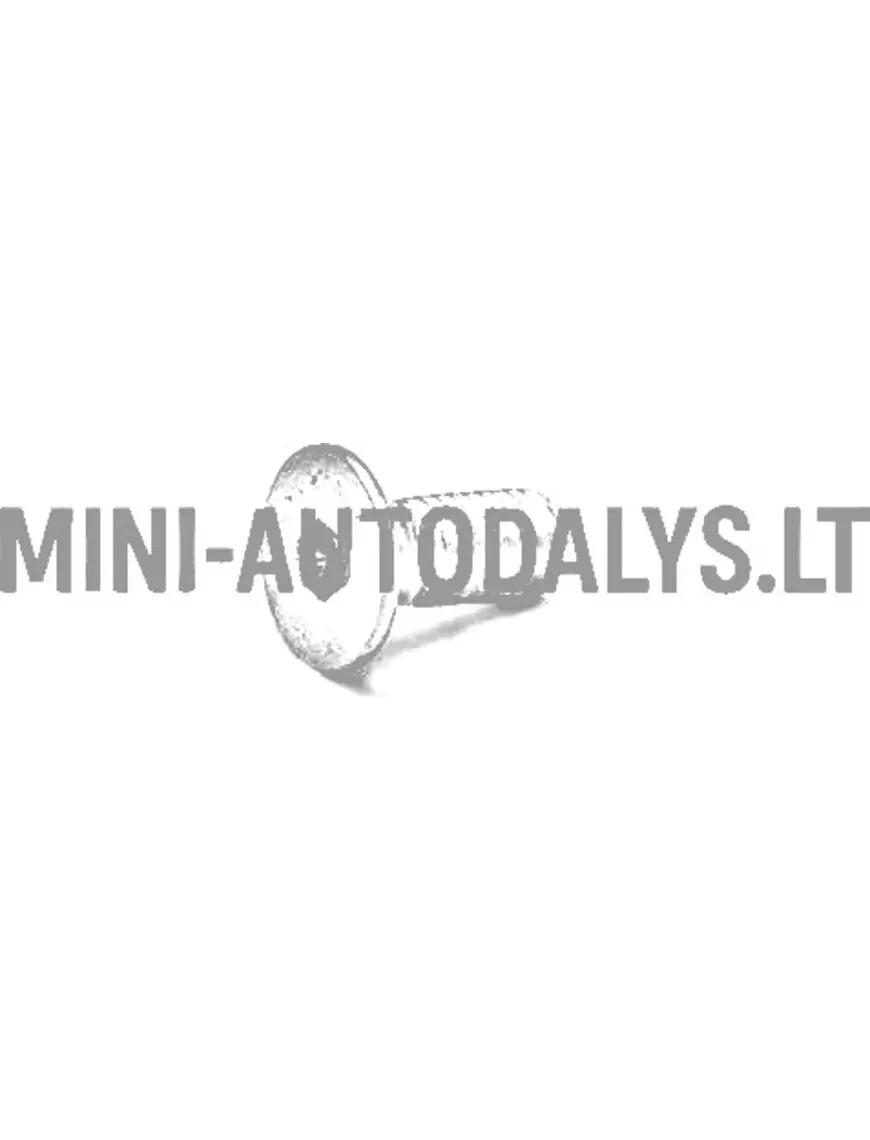 Ratta rummu kinnituskruvi - piduriketas Aixam / Grecav