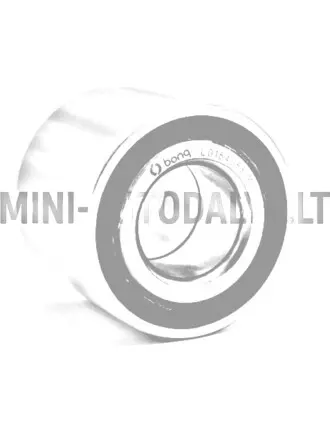 Tagaratta laager Ligier / Microcar / Chatenet