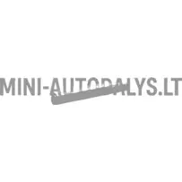 Peamine käigukasti variaator