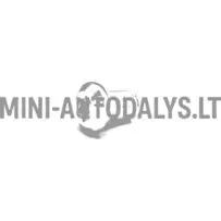 Piduriketta kinnituskruvi Microcar / Ligier