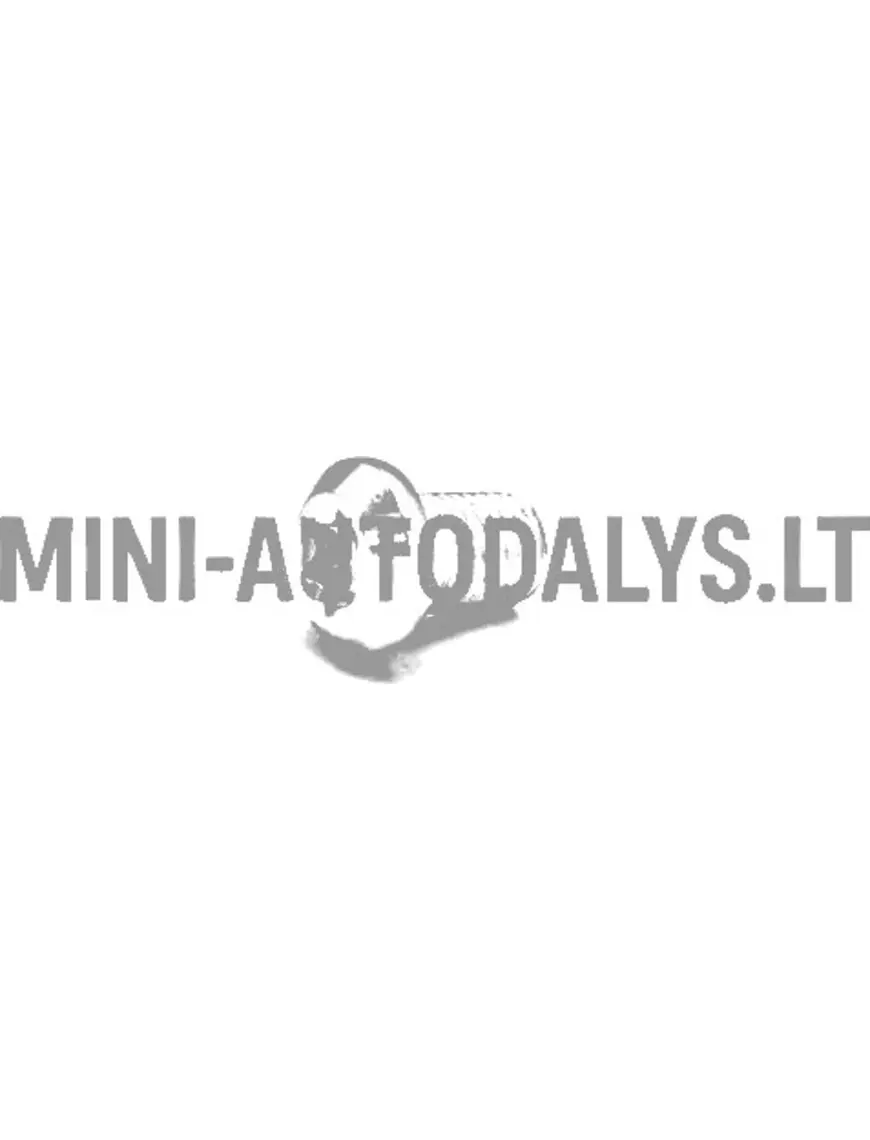 Piduriketta kinnituskruvi Microcar / Ligier