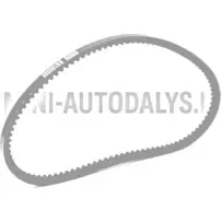 Kiilrihm Lombardini 442 / 480 / 492 DCI (10x665 mm)