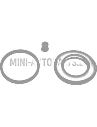 Pidurisilindri / kolvi tolmukaitse