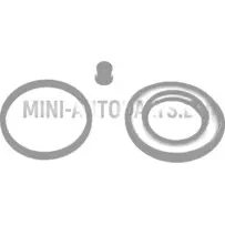 Pidurisilindri / kolvi tolmukaitse