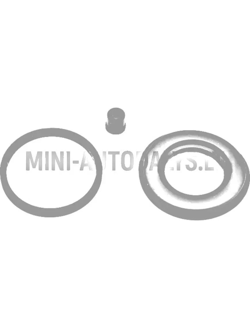 Pidurisilindri / kolvi tolmukaitse