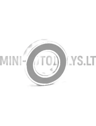 Tagaratta laager 6005 SKF