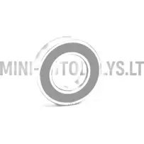 Tagaratta laager 6005 SKF