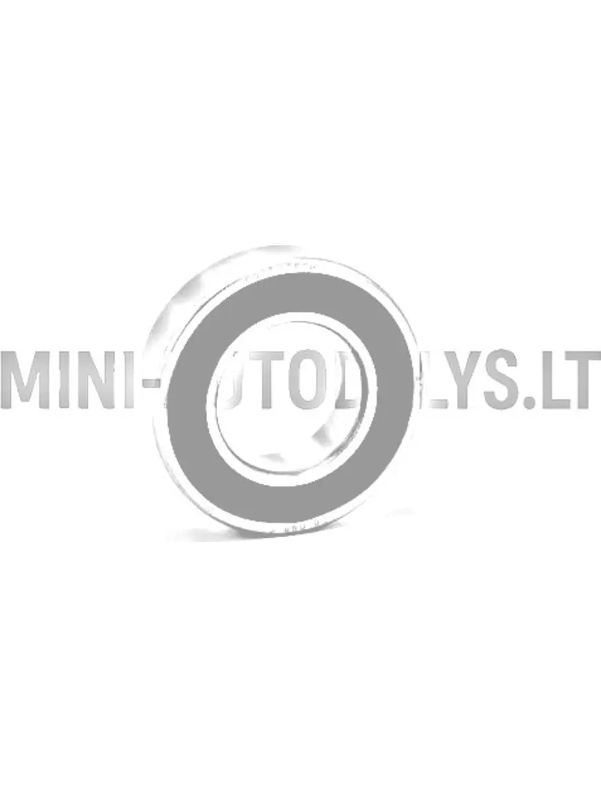 Tagaratta laager 6005 SKF