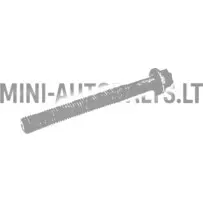 Pea polt Lombardini 502 Progress / FOCS