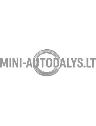 Pihusti vaskseib Lombardini 502 FOCS / Progress (14mm)