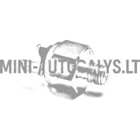 Piduritule lüliti peasilinder