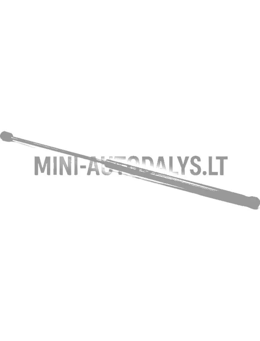 Tagaluugi amortisaator Microcar MGO