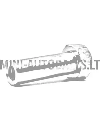 Variomaatkäigukasti kinnituskruvi Aixam