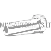 Variomaatkäigukasti kinnituskruvi Aixam