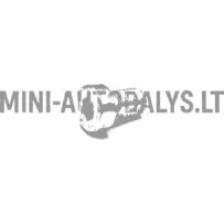 Eesmise piduriketta kinnituskruvi Microcar / Ligier / Chatenet / JDM