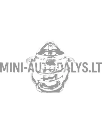 Termostaat Aixam Kubota