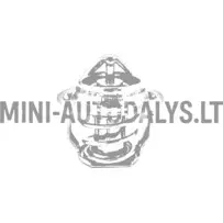 Termostaat Aixam Kubota