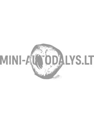 Ratta mutter Microcar / Ligier