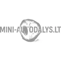 Ratta mutter Microcar / Ligier