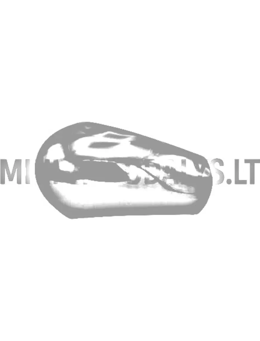 Peeglikate küljepeegel Microcar / Ligier / Casalin #15638 | Mini Auto Parts