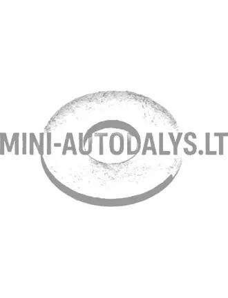 Tihendusrõnga kinnituskruvi paagile Aixam / Grecav