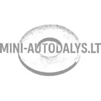 Tihendusrõnga kinnituskruvi paagile Aixam / Grecav