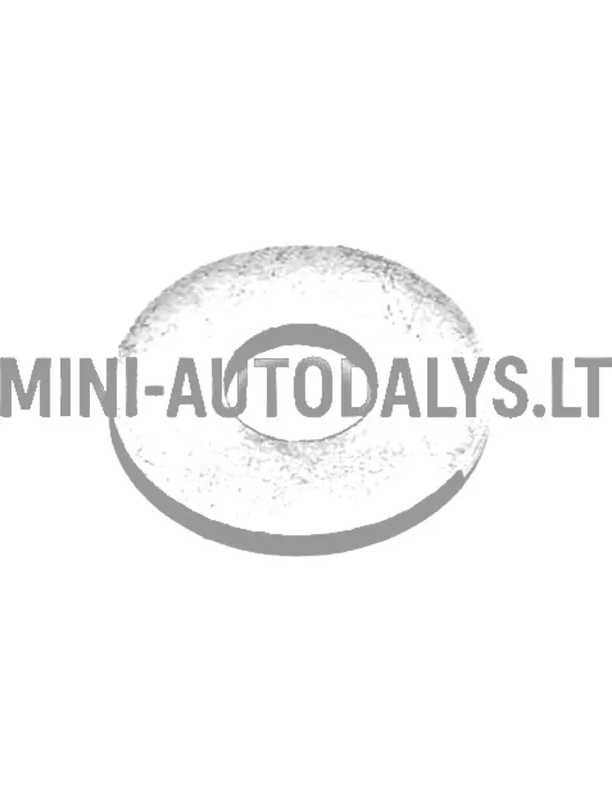 Tihendusrõnga kinnituskruvi paagile Aixam / Grecav