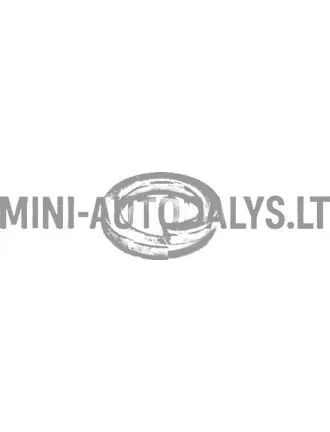 Rõnga kinnituskruvi käigukast variomatic Aixam