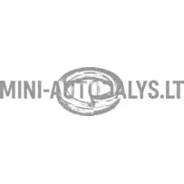 Rõnga kinnituskruvi käigukast variomatic Aixam