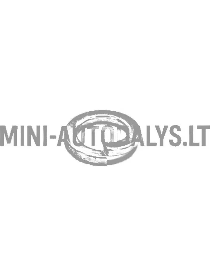 Rõnga kinnituskruvi käigukast variomatic Aixam