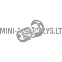 Banjo polt pidurivoolik (M10x100)